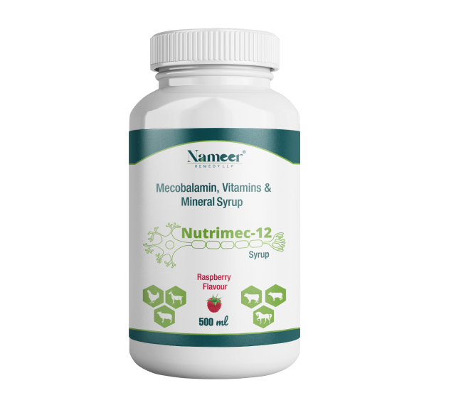 NUTRIMEC-12 SYRUP